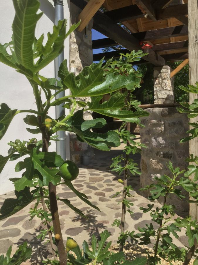 Vitamin B63 Vendeghaz Boldogkovaralja Eksteriør billede